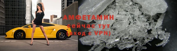 шишки Аркадак