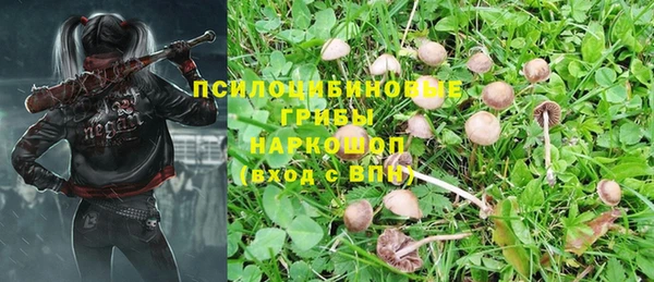 сатива Балабаново